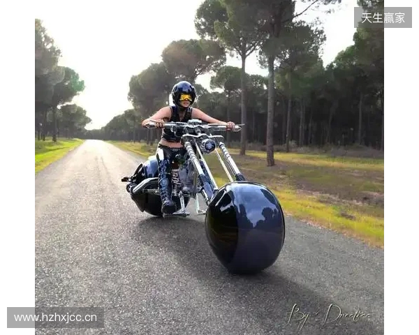 热刺前锋贝利兹接近加盟巴甲球队巴伊亚,转会费1000万欧元